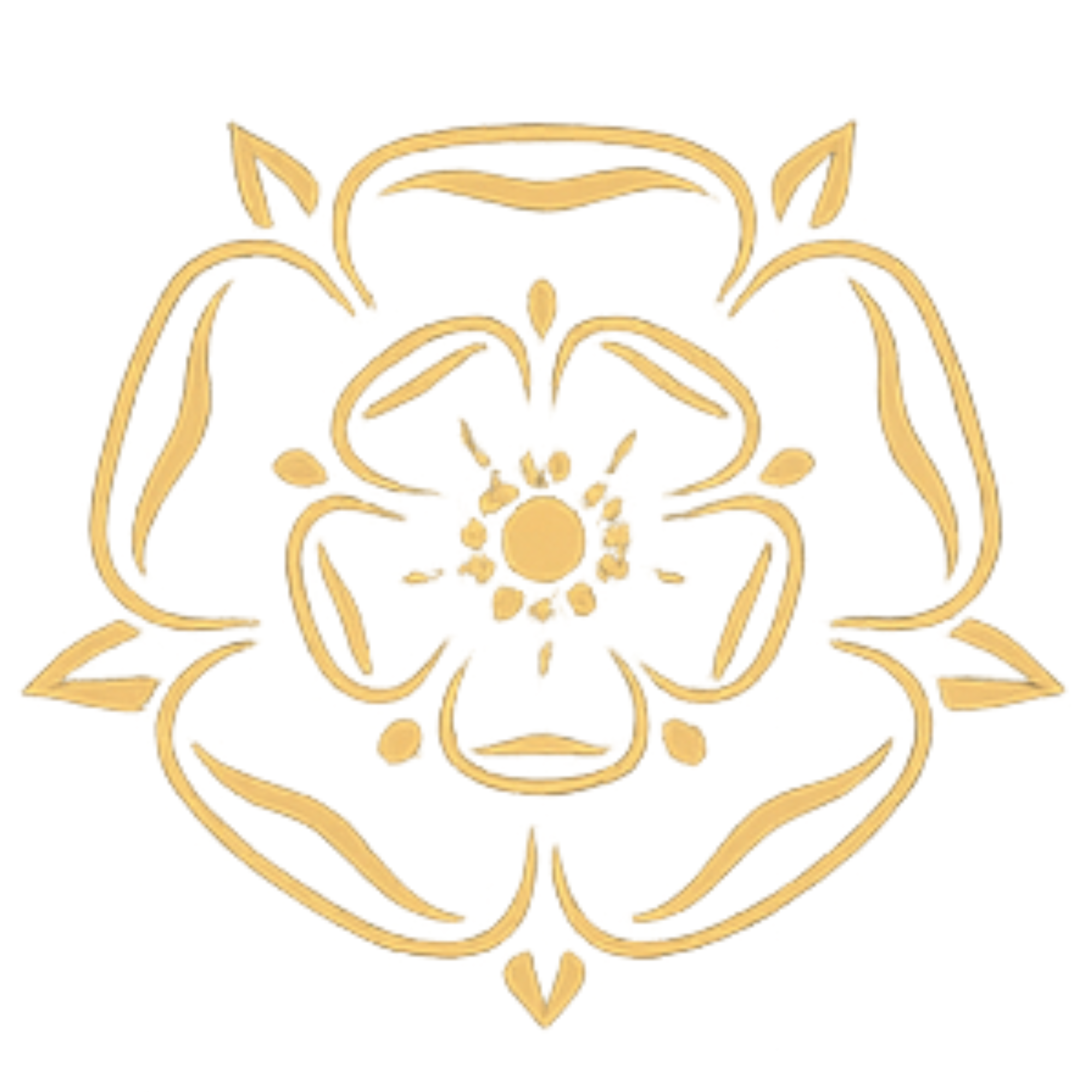 The Incredible Cleaning Company UK